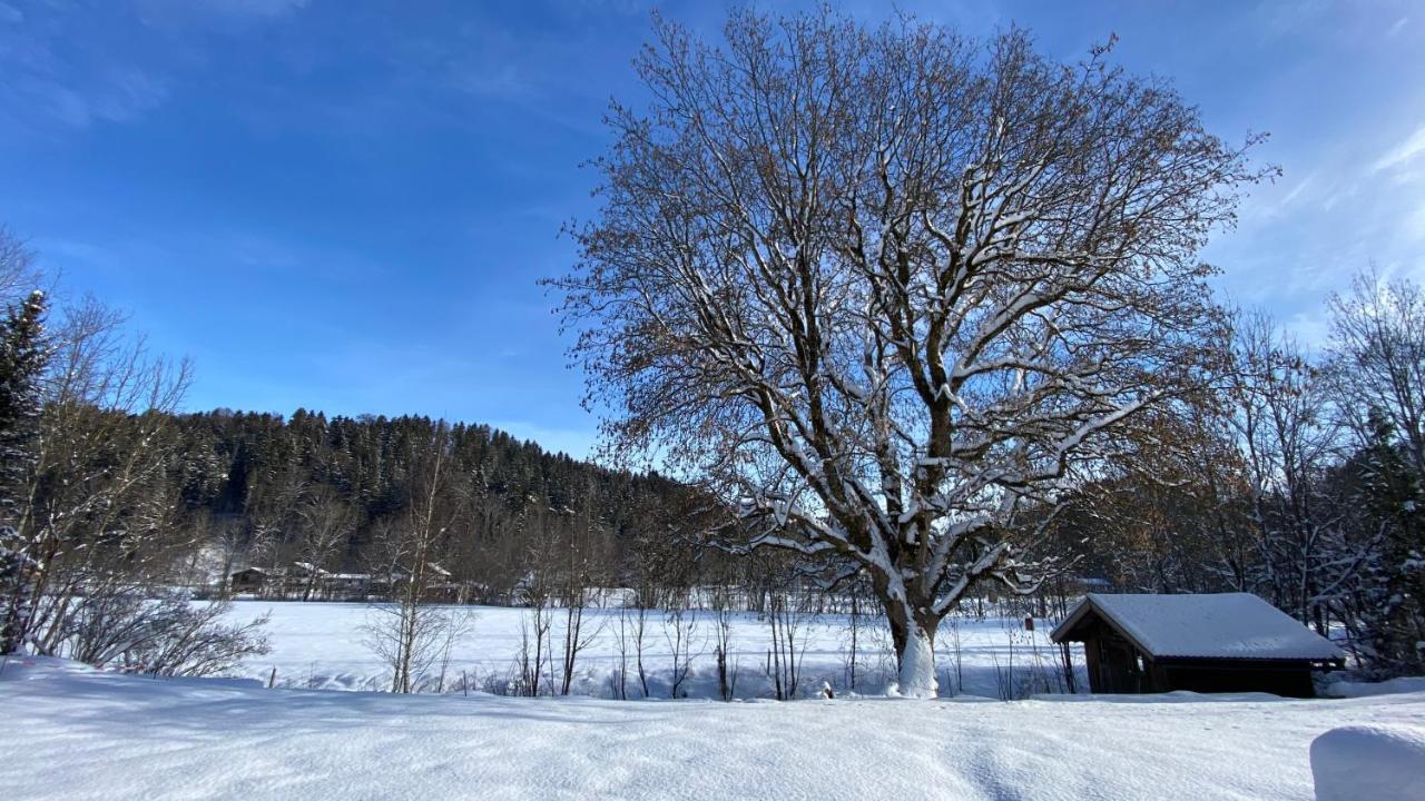 Pure Nature Munich - Alps Fischbachau Eksteriør billede